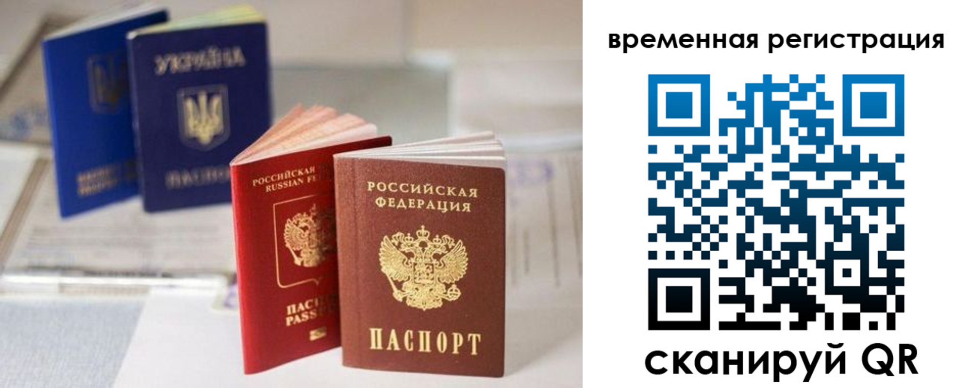прописка поиск в Невеле